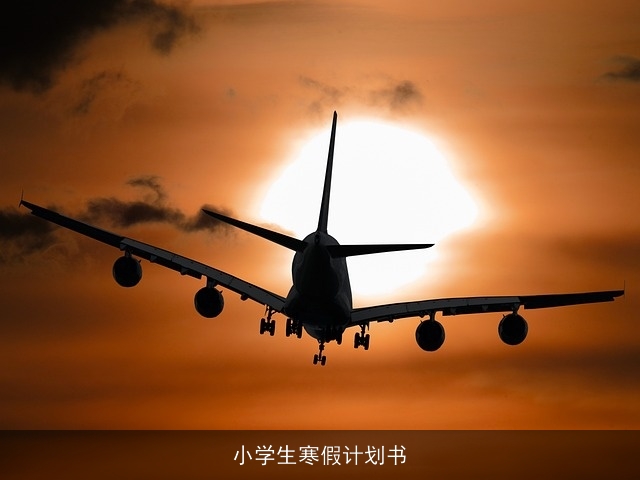 小学生寒假计划书