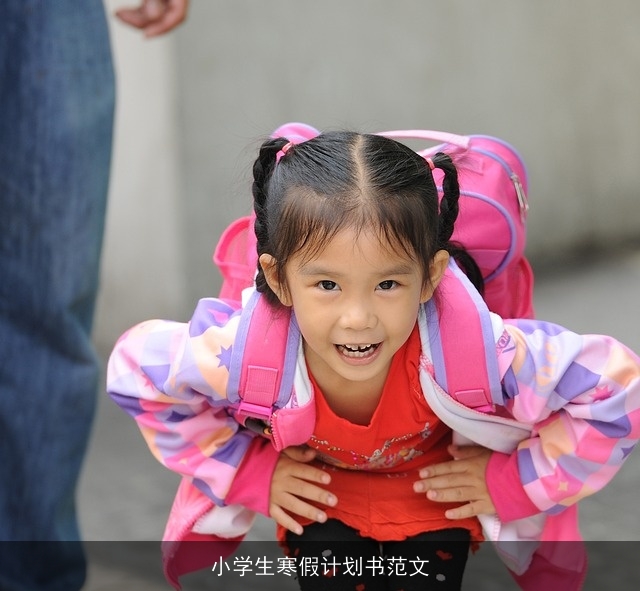 小学生寒假计划书范文