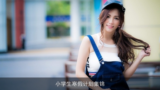 小学生寒假计划集锦