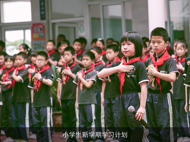 小学生新学期学习计划