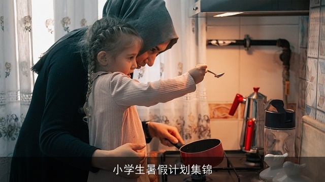 小学生暑假计划集锦