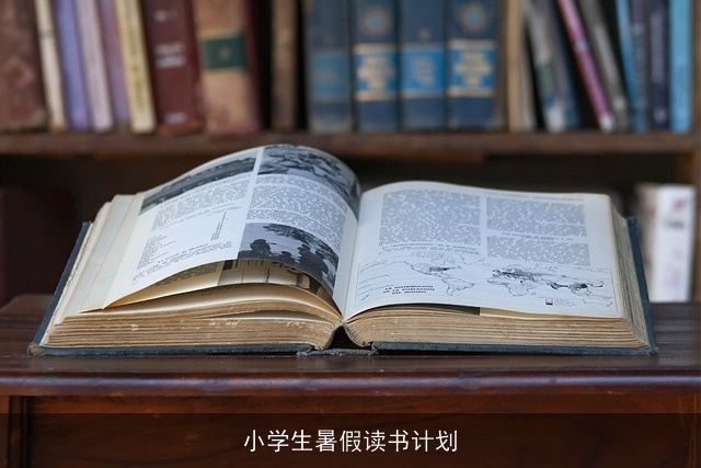 小学生暑假读书计划