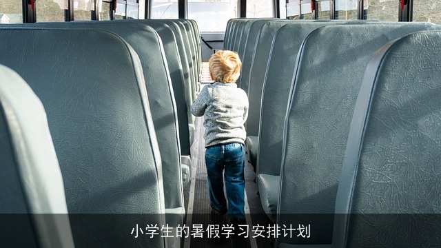 小学生的暑假学习安排计划