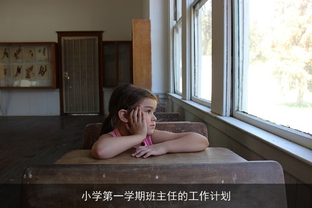 小学第一学期班主任的工作计划