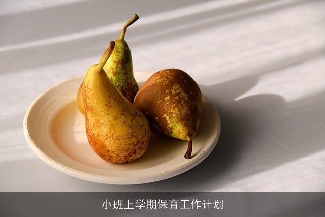 小班上学期保育工作计划