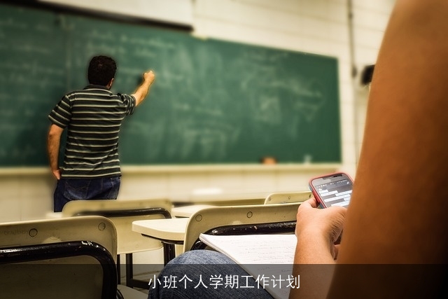 小班个人学期工作计划