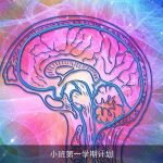 小班第一学期计划