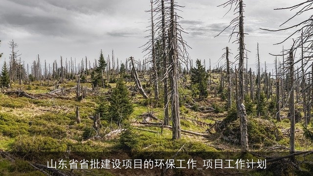 山东省省批建设项目的环保工作_项目工作计划