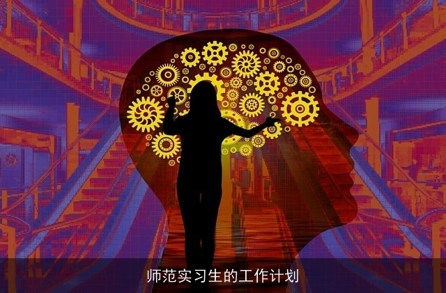 师范实习生的工作计划