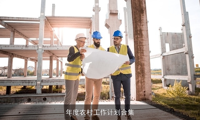 年度农村工作计划合集