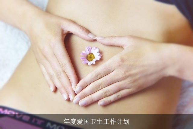 年度爱国卫生工作计划