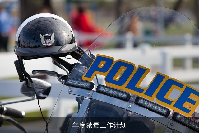 年度禁毒工作计划