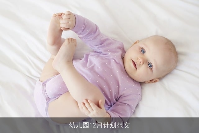 幼儿园12月计划范文