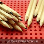 幼儿园中班下学期班务工作计划