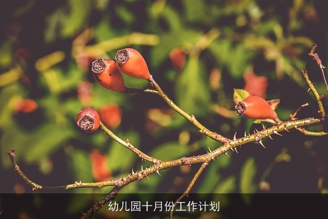 幼儿园十月份工作计划