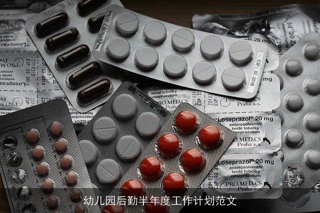 幼儿园后勤半年度工作计划范文