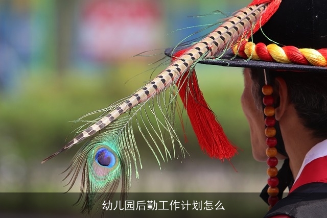 幼儿园后勤工作计划怎么