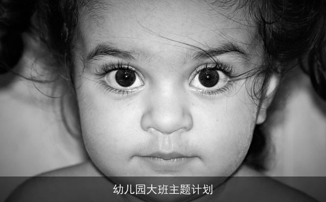 幼儿园大班主题计划