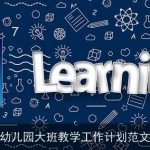 幼儿园大班教学工作计划范文