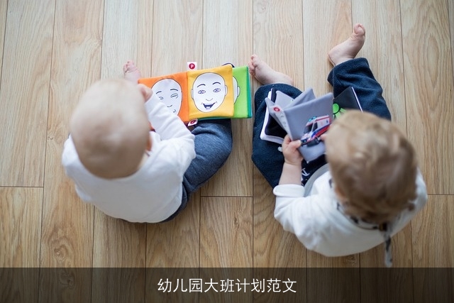 幼儿园大班计划范文