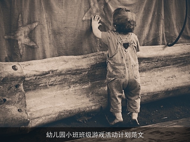 幼儿园小班班级游戏活动计划范文