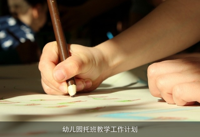 幼儿园托班教学工作计划