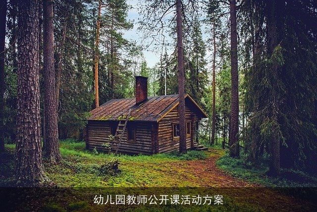幼儿园教师公开课活动方案