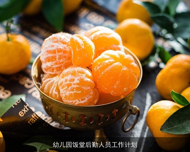 幼儿园饭堂后勤人员工作计划