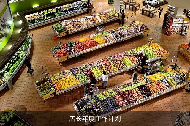 店长年度工作计划