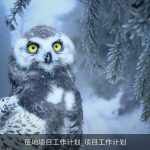 征地项目工作计划_项目工作计划