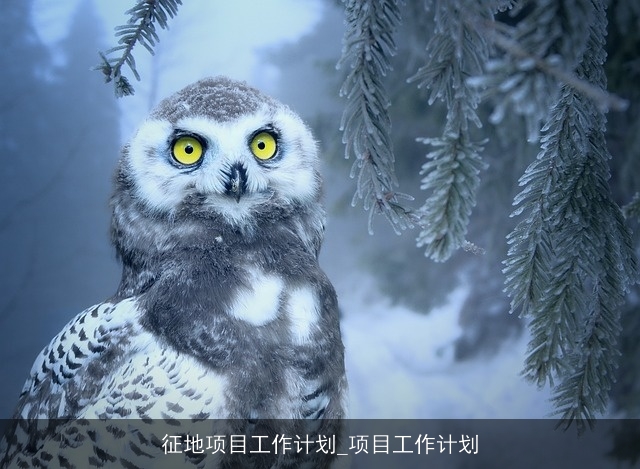 征地项目工作计划_项目工作计划