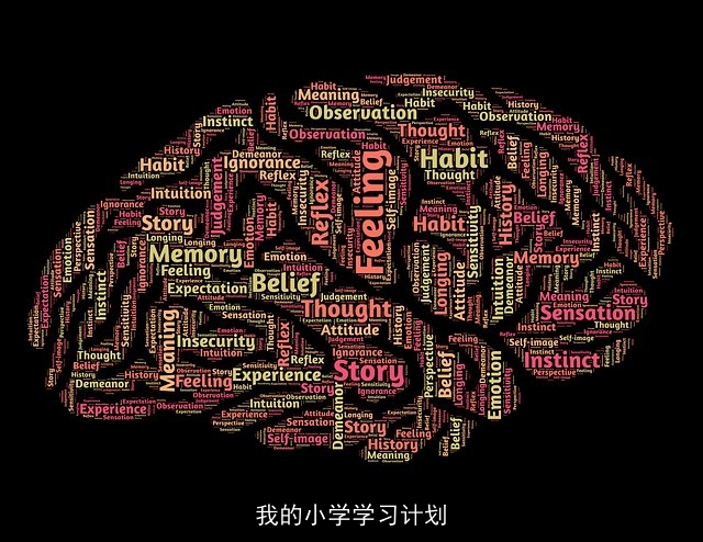 我的小学学习计划