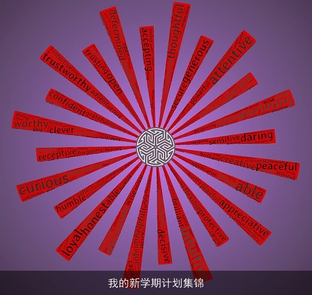 我的新学期计划集锦
