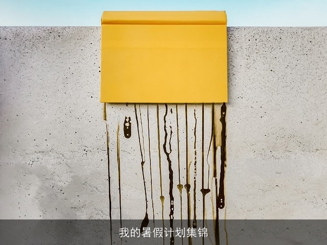 我的暑假计划集锦