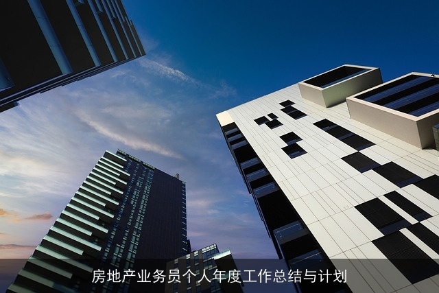 房地产业务员个人年度工作总结与计划
