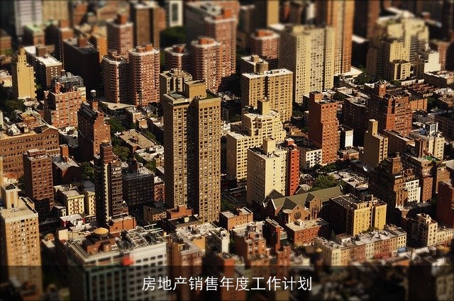 房地产销售年度工作计划
