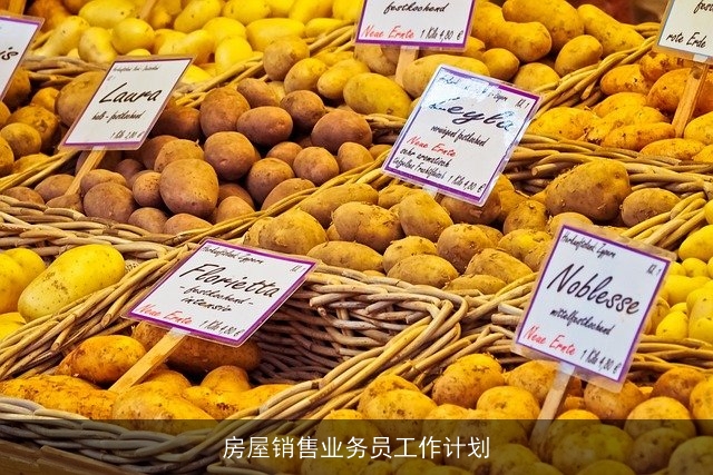 房屋销售业务员工作计划