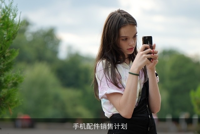 手机配件销售计划