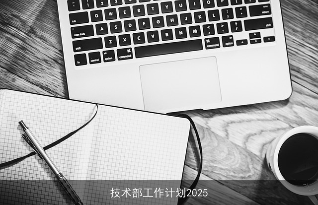 技术部工作计划2025