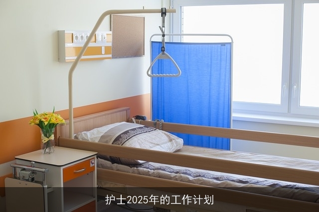 护士2025年的工作计划