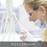 护士个人工作计划2025