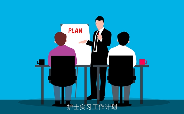 护士实习工作计划