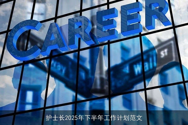 护士长2025年下半年工作计划范文