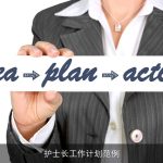 护士长工作计划范例