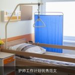 护师工作计划优秀范文