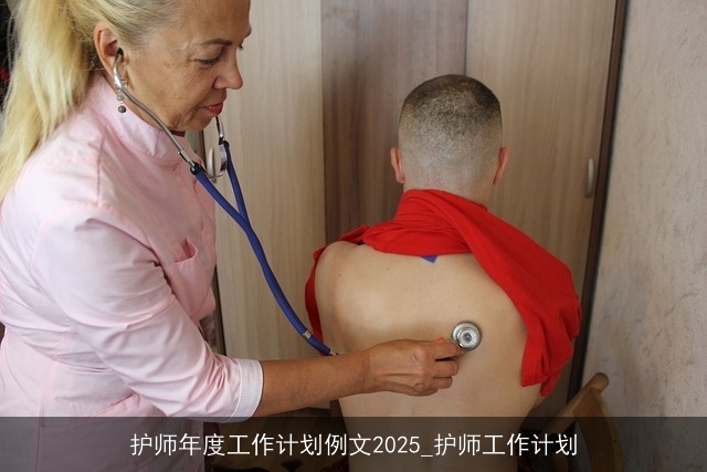 护师年度工作计划例文2025_护师工作计划