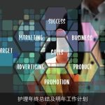 护理年终总结及明年工作计划