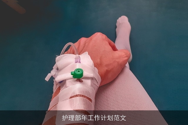 护理部年工作计划范文