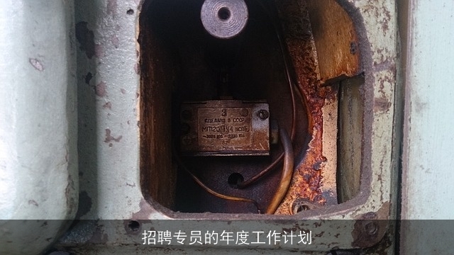 招聘专员的年度工作计划