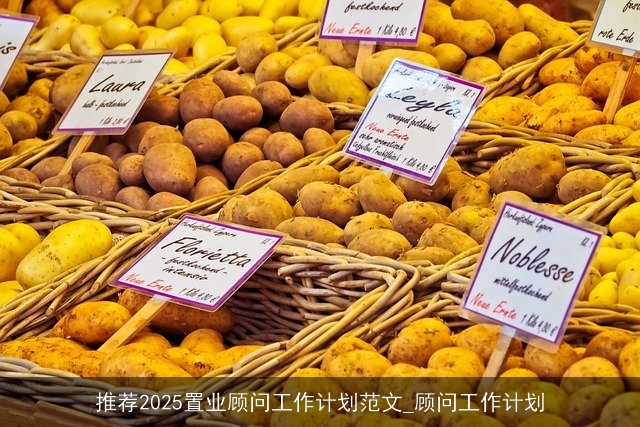 推荐2025置业顾问工作计划范文_顾问工作计划